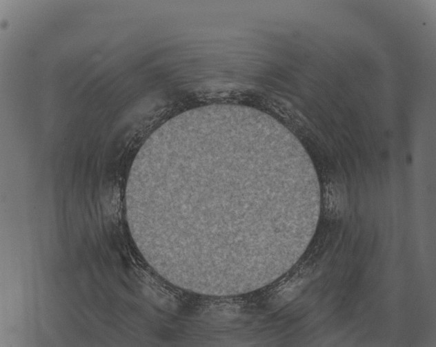 X0000073930820200608181112