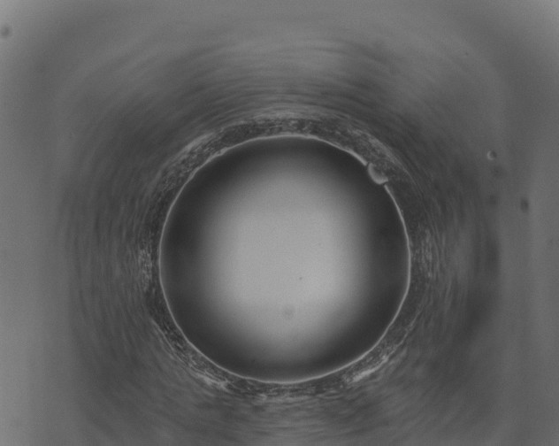 X0000073930821200608181112