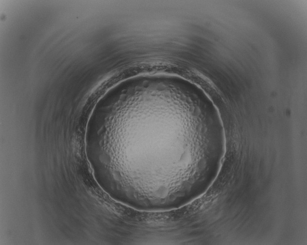 X0000073930823200608181112