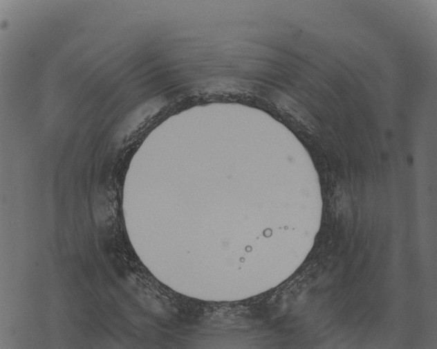 X0000073930824200608181112