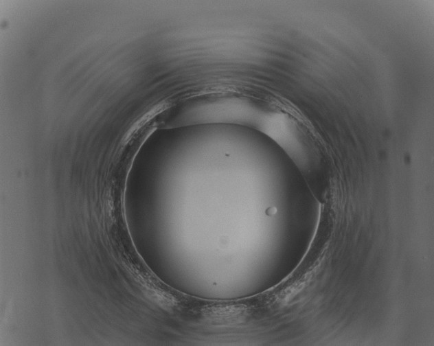 X0000073930826200608181112