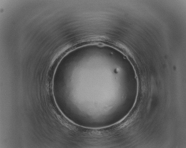 X0000073930827200608181112