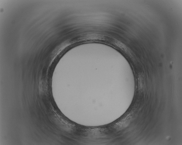 X0000073930828200608181112