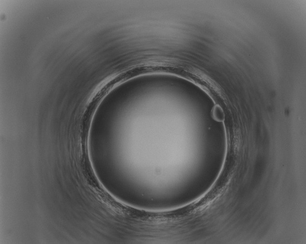 X0000073930829200608181112