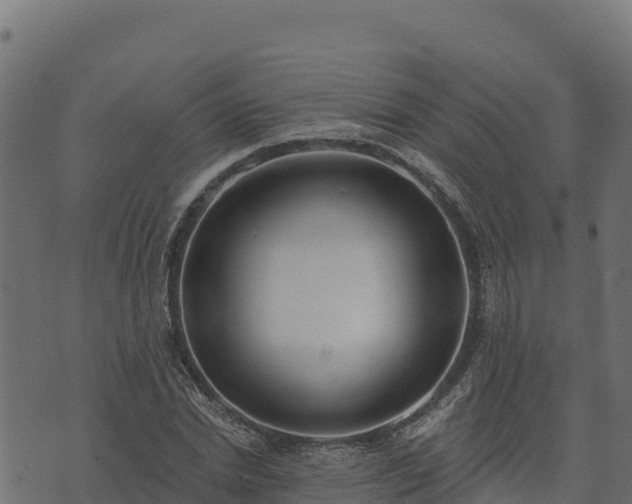 X0000073930830200608181112