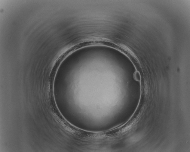 X0000073930831200608181112