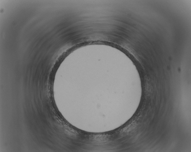 X0000073930832200608181112