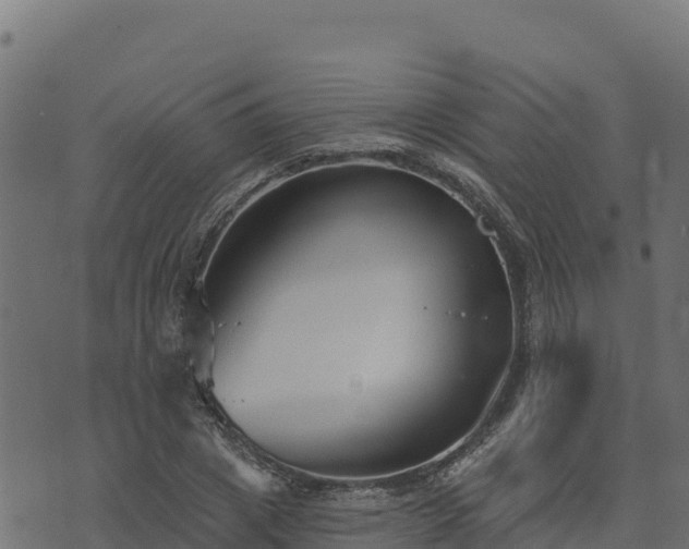 X0000073930833200608181112