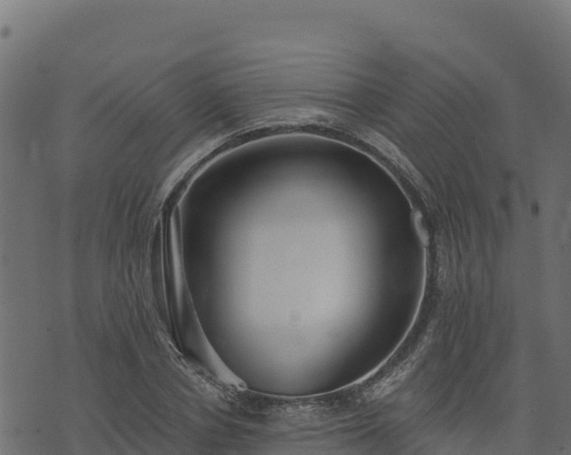 X0000073930834200608181112