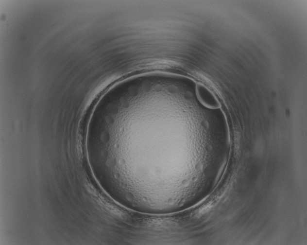 X0000073930835200608181112