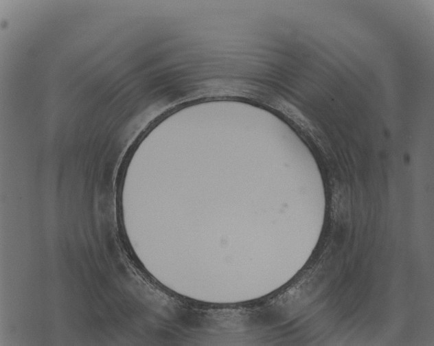 X0000073930836200608181112