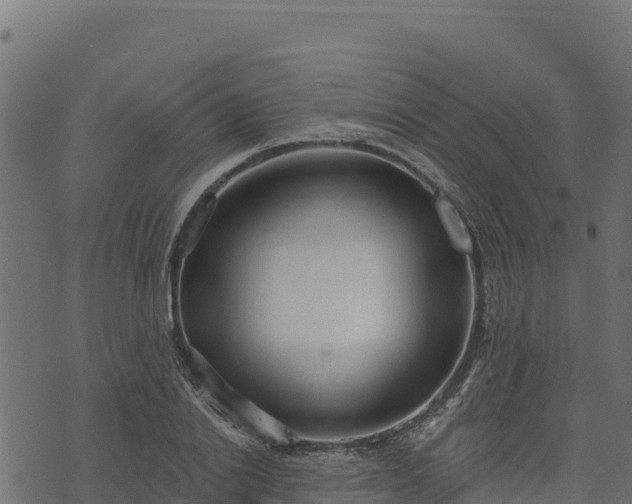 X0000073930838200608181112