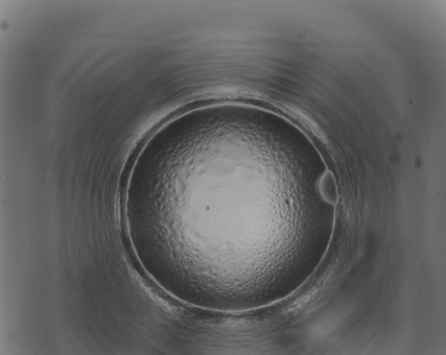 X0000073930839200608181112