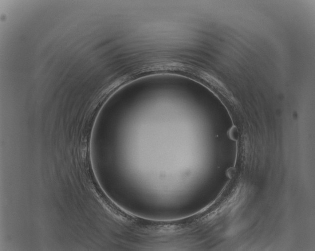 X0000073930841200608181112