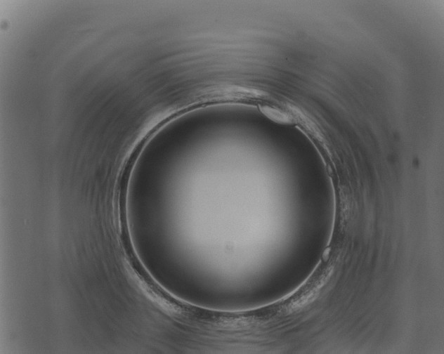 X0000073930843200608181112