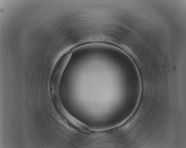 X0000073930846200608181112