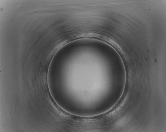 X0000073930849200608181112