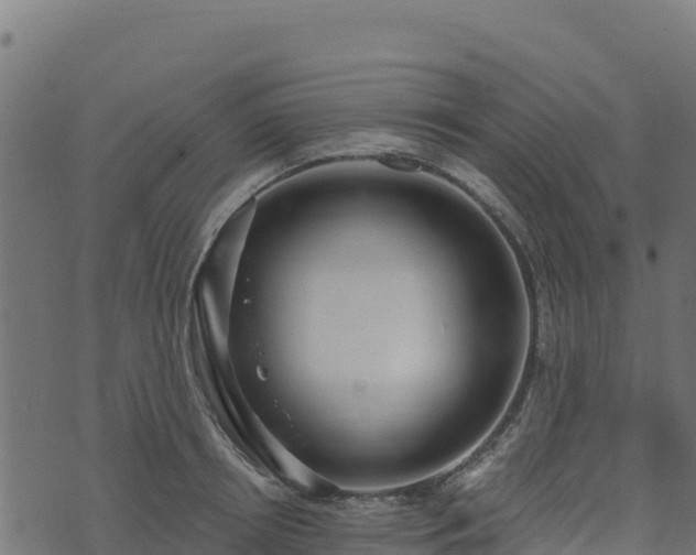 X0000073930850200608181112