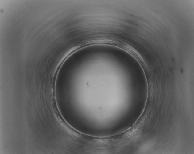 X0000073930852200608181112