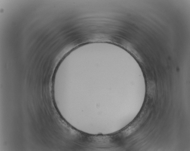 X0000073930856200608181112