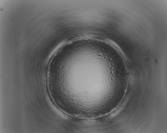 X0000073930859200608181112