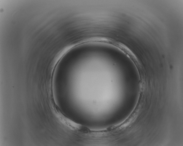 X0000073930860200608181112