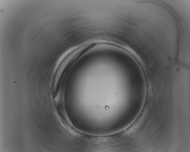 X0000073930862200608181113