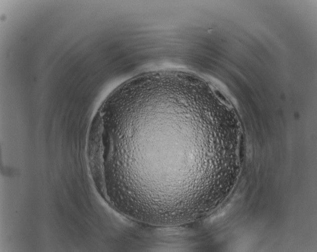 X0000073930863200608181113