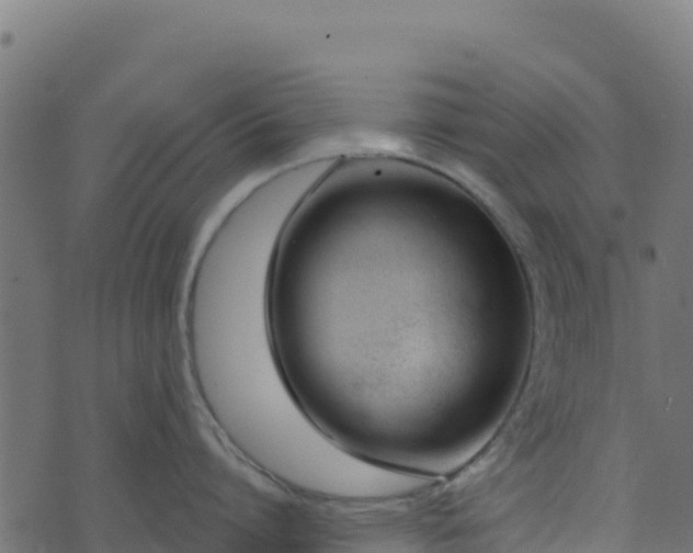 X0000073930864200608181113