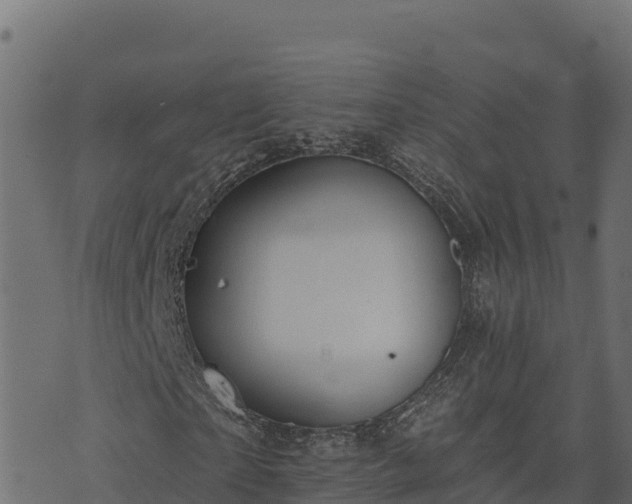 X0000073930865200608181112