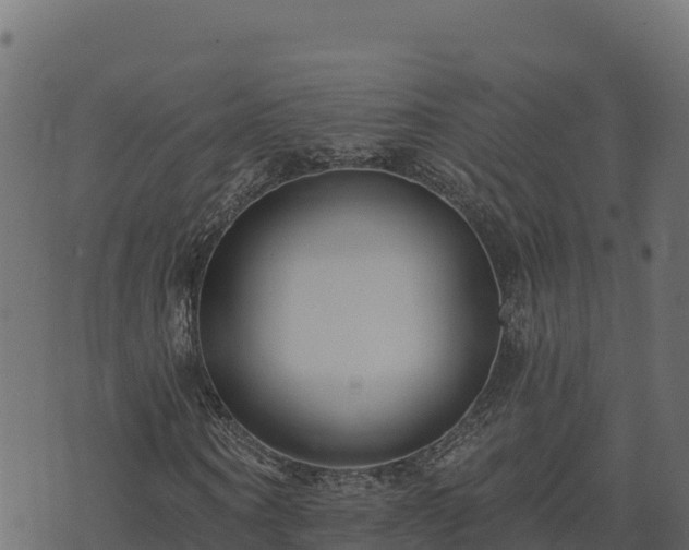 X0000073930866200608181112