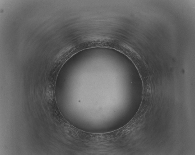 X0000073930869200608181112