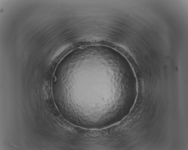 X0000073930871200608181112