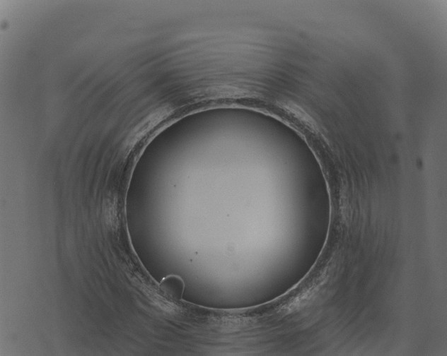 X0000073930873200608181112