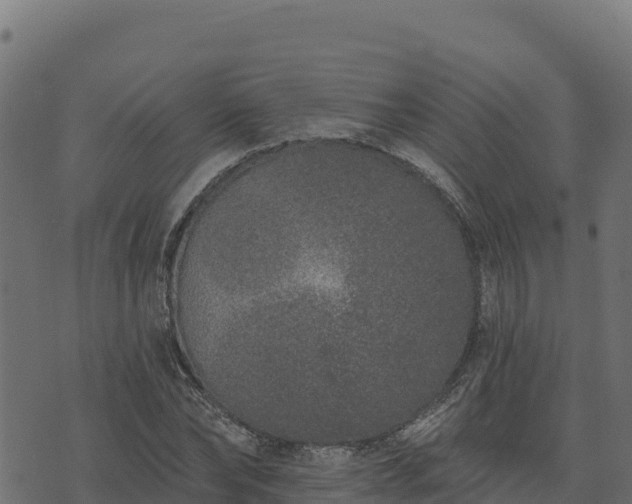 X0000073930878200608181112