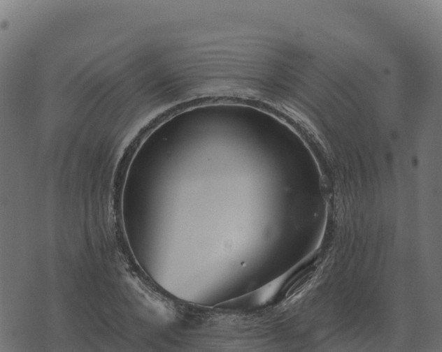 X0000073930880200608181112