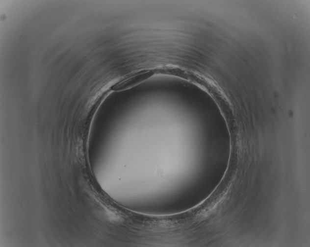 X0000073930881200608181111