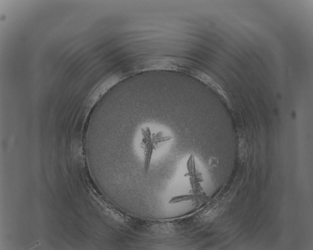 X0000073930882200608181111