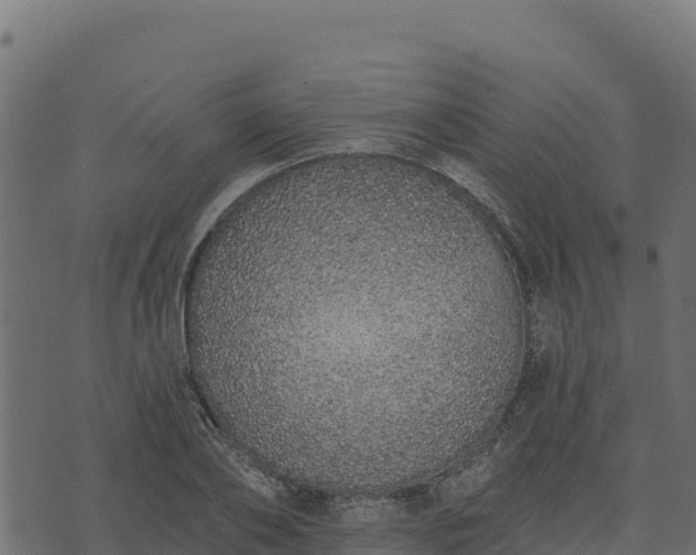 X0000073930886200608181111