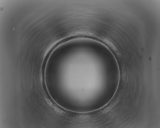 X0000073930888200608181111