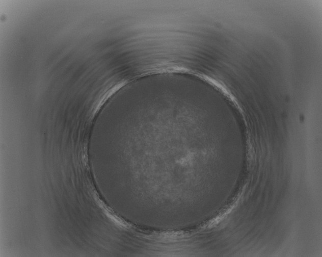 X0000073930889200608181111