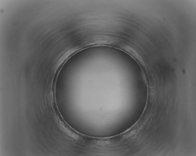 X0000073930890200608181111