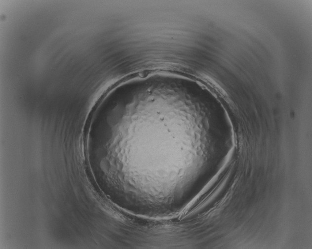 X0000073930891200608181111