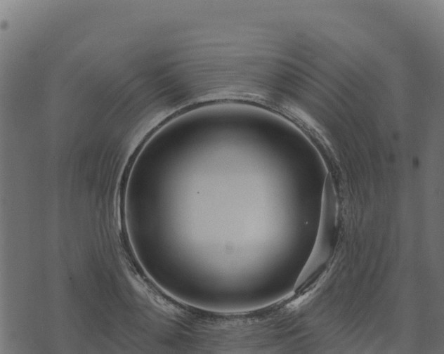 X0000073930892200608181111