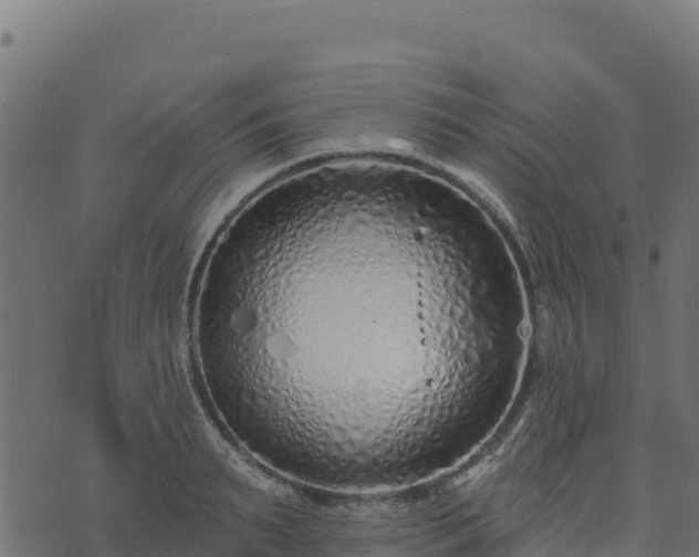 X0000073930895200608181111