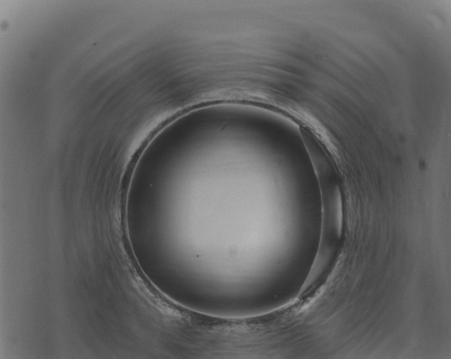 X0000073930896200608181111