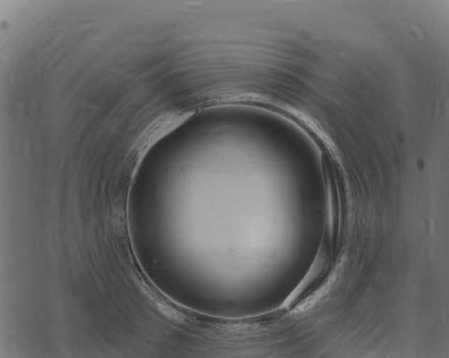 X0000073930897200608181111