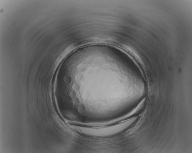 X0000073930899200608181111