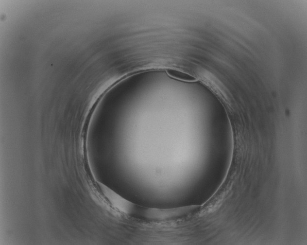 X0000073930900200608181111