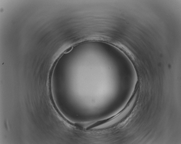 X0000073930902200608181111